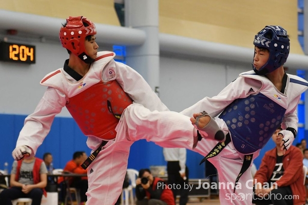 Taekwondo  (14)