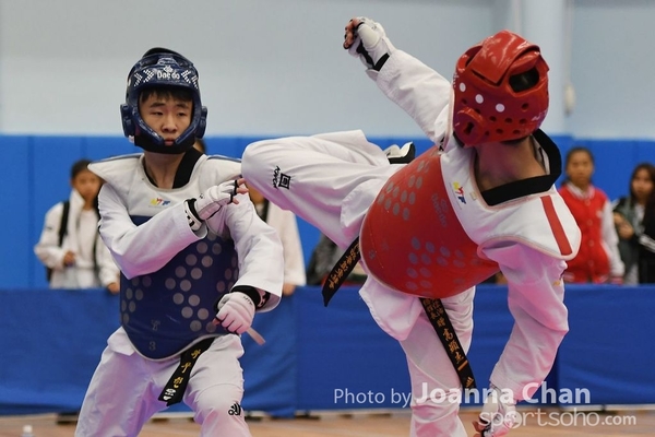 Taekwondo  (18)