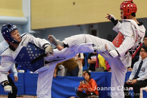 Taekwondo  (19)