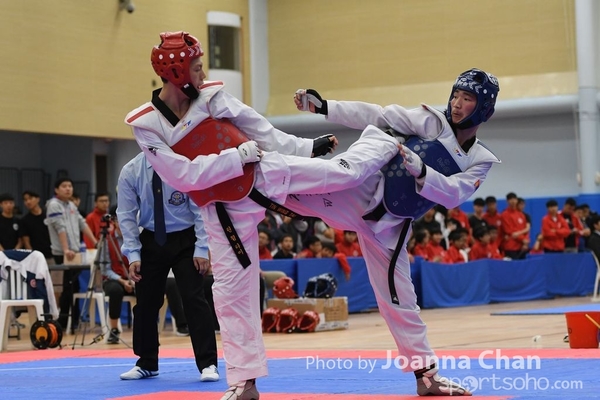 Taekwondo  (36)