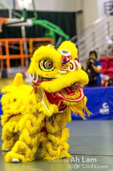 第二屆青少年醒獅大賽-1