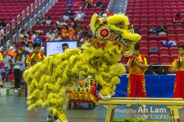 第二屆青少年醒獅大賽-17