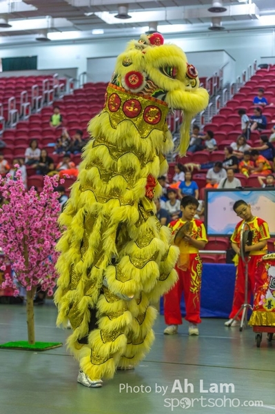 第二屆青少年醒獅大賽-18