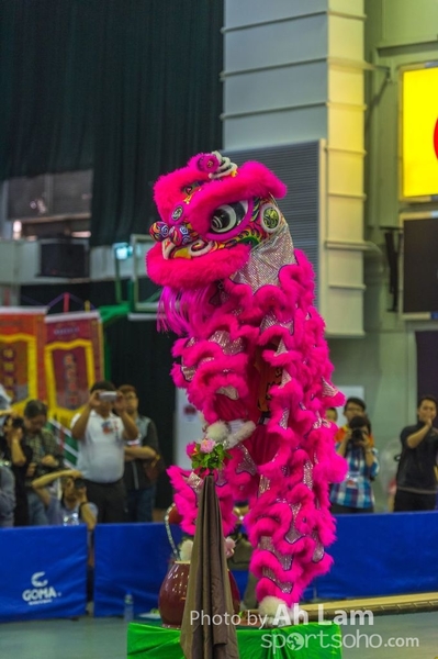 第二屆青少年醒獅大賽-19