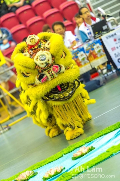 第二屆青少年醒獅大賽-26