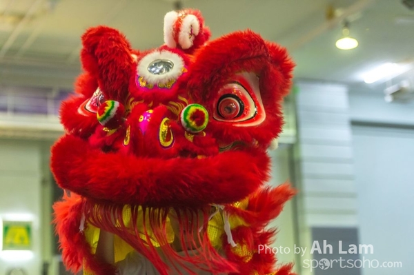 第二屆青少年醒獅大賽-32