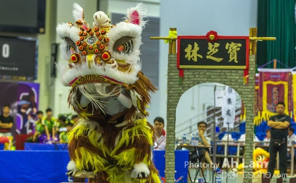第二屆青少年醒獅大賽-64