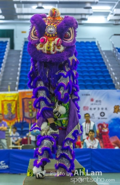 第二屆青少年醒獅大賽-95