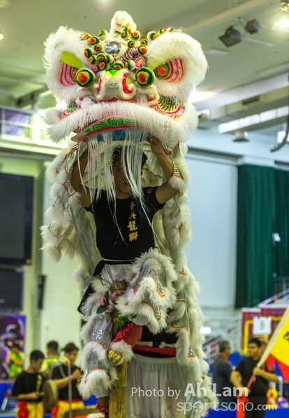 第二屆青少年醒獅大賽-101