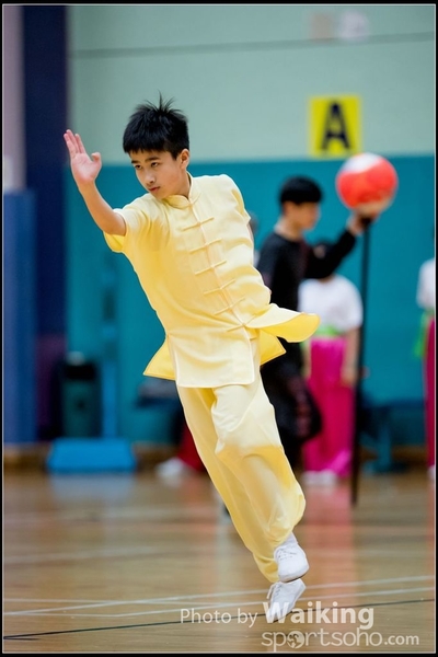 2017-05-14 Wushu 0041