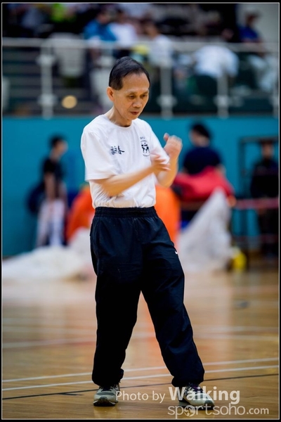 2017-05-14 Wushu 0208