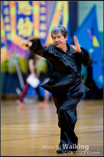 2017-05-14 Wushu 0322