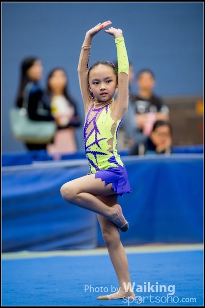 2017-05-20 Artistic Gym 0306