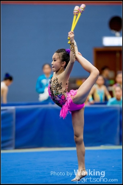 2017-05-20 Artistic Gym 1008