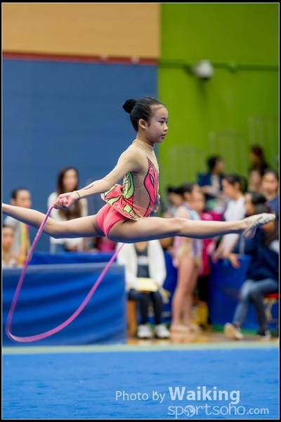 2017-05-20 Artistic Gym 1446