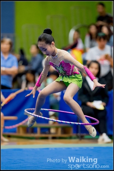 2017-05-21 Artistic Gym 1095
