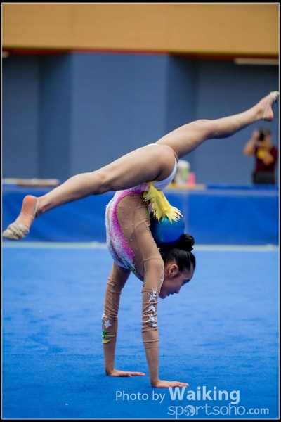 2017-05-21 Artistic Gym 1448