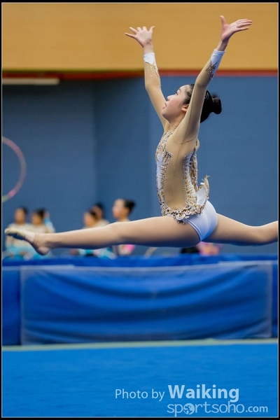 2017-05-21 Artistic Gym 1474