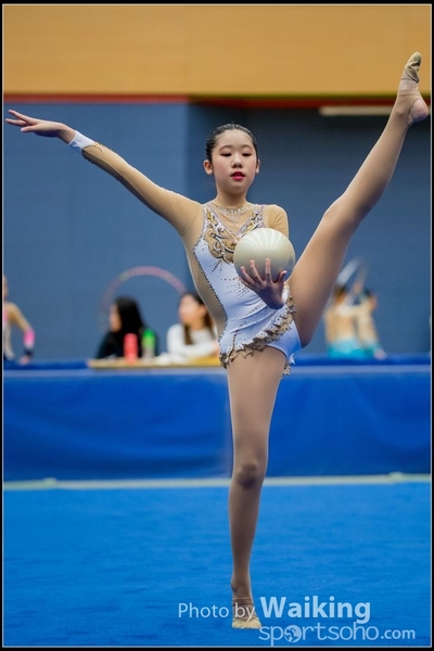 2017-05-21 Artistic Gym 1477