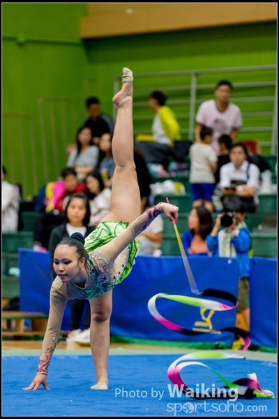 2017-05-21 Artistic Gym 1518