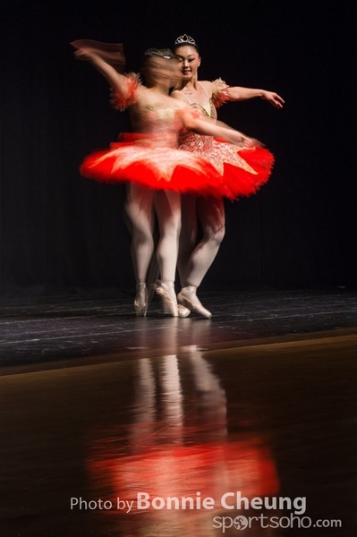 DSC_7052