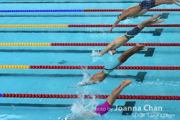 FINA   (41)