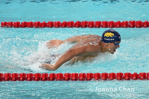 FINA   (65)