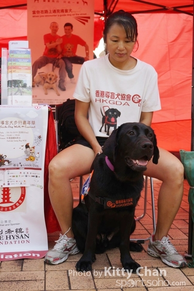 DSC07966