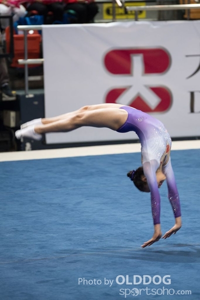 Gymnastics74