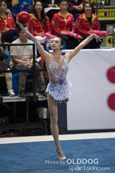 Gymnastics80