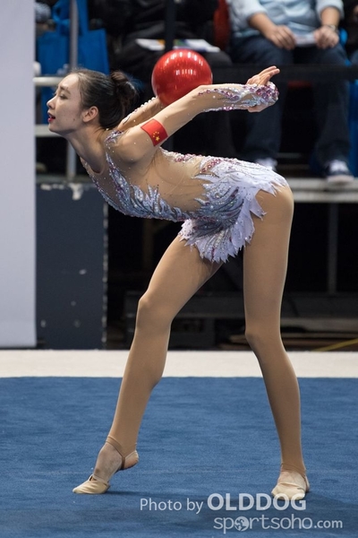 Gymnastics88
