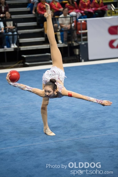 Gymnastics94