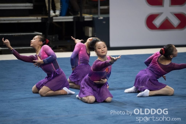 Gymnastics193