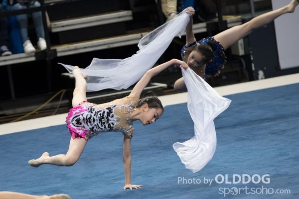 Gymnastics201