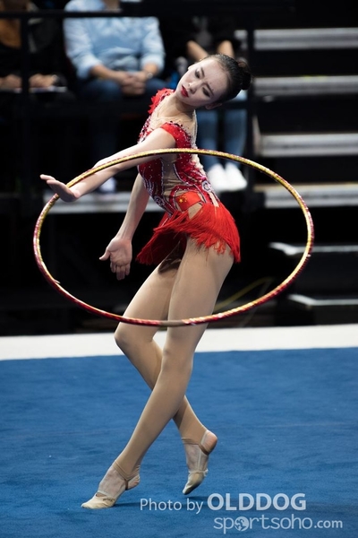 Gymnastics212