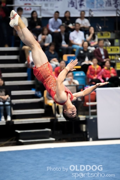 Gymnastics224