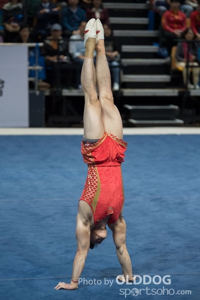 Gymnastics226
