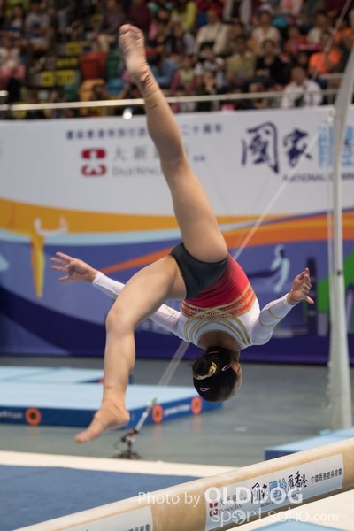 Gymnastics231