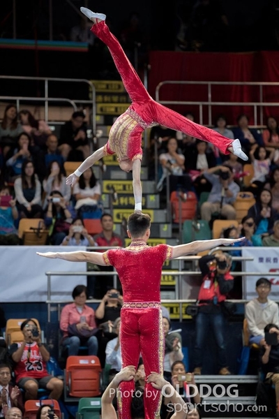 Gymnastics236