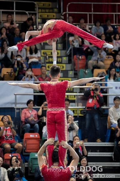 Gymnastics237