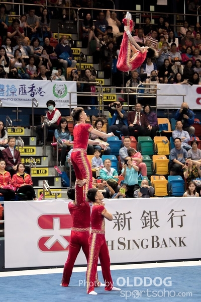 Gymnastics238