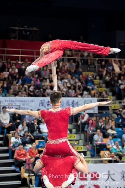 Gymnastics241