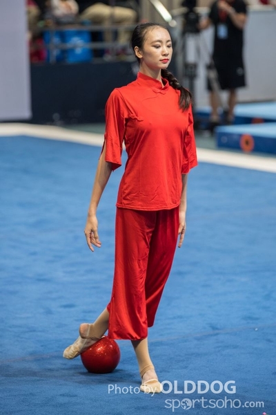 Gymnastics242