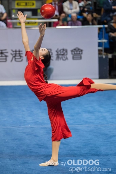 Gymnastics244