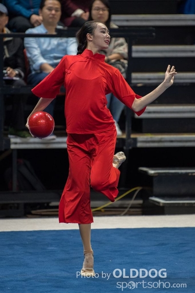 Gymnastics245