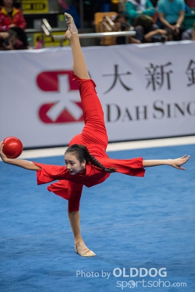 Gymnastics247