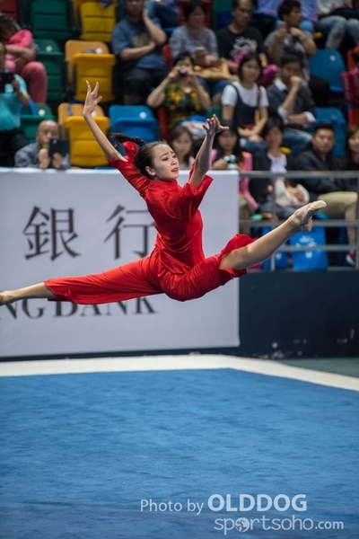 Gymnastics248