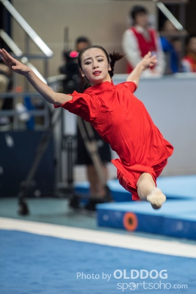 Gymnastics249