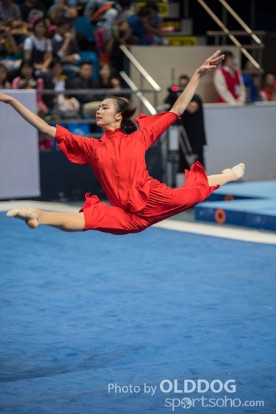 Gymnastics251