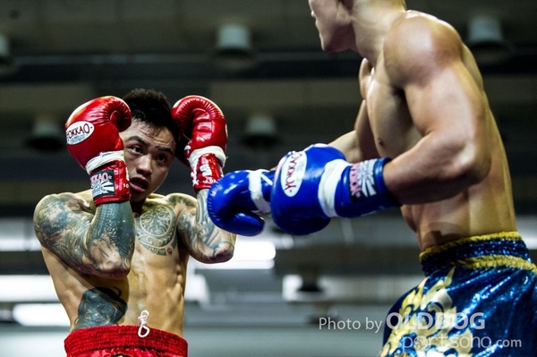 MuayThai203